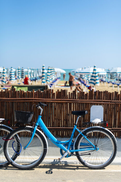 Réserver des vélos et vous les mettre à disposition / 30€*
